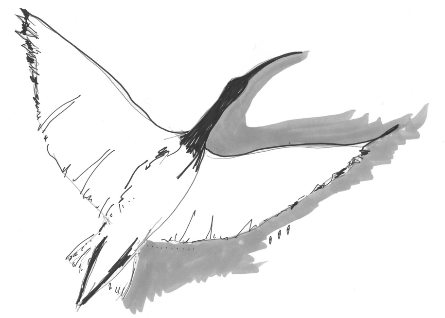 WTF? Non-birthing partners can't stay at the hospital with their newborn?